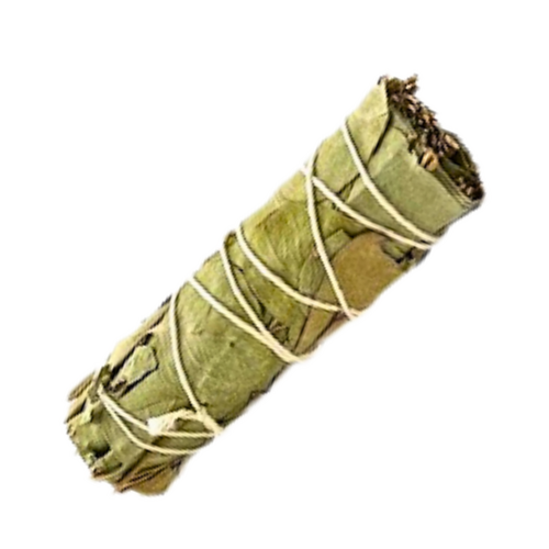 Smudge Stick EUCALYPTUS Small